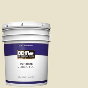 5 gal. #PPU9-14 White Cliffs Ceiling Flat Interior Paint
