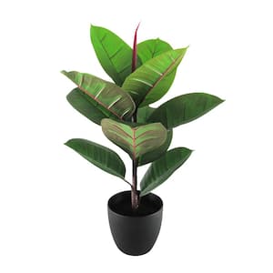 2 ft. Real Touch Artificial Rubber Plant Fig Tree in Pot