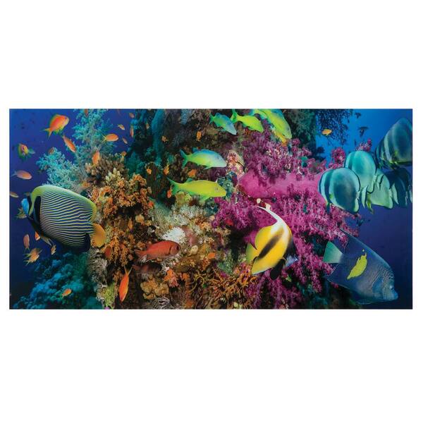 Yosemite Home Decor 23.6 in. H x 47.2 in. W "Under Water Fish II" Artwork in Tempered Glass Wall Art