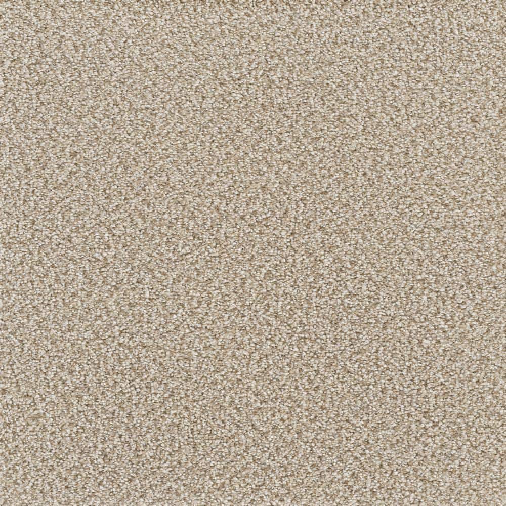 8 in. x  8 in. Texture Carpet Sample - Spicework II -Color Albany price history on PriceWatchPro