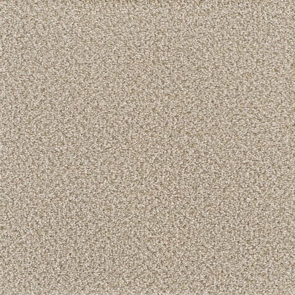 Home Decorators Collection Spicework I  - Albany - Beige 40 oz. SD Polyester Texture Installed Carpet