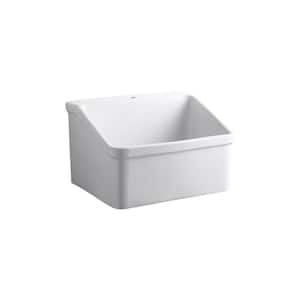 Hollister 22 in. x 28 in. Vitreous China Utility Sink in White