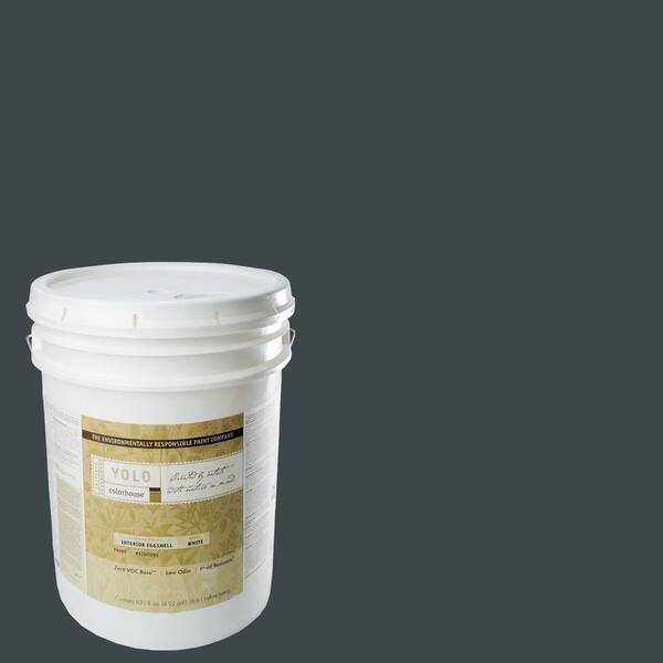 YOLO Colorhouse 5-gal. Metal .06 Eggshell Interior Paint-DISCONTINUED