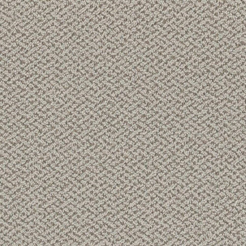 8 in. x 8 in. Loop Carpet Sample - Ballad Bliss - Color Unison price history on PriceWatchPro