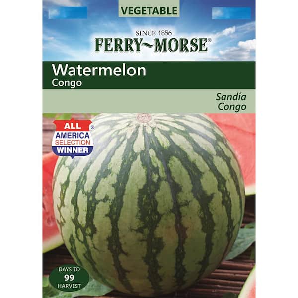 Ferry-Morse Watermelon Congo Seed