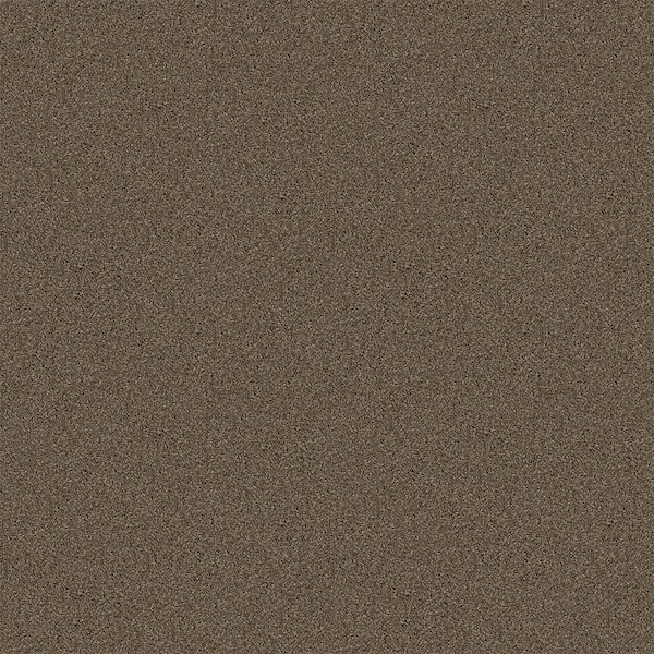 TrafficMaster Watercolors I - Wicker Works - Brown 28.8 oz. Polyester Texture Installed Carpet