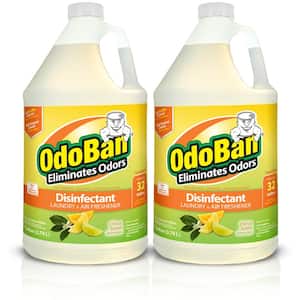 1 Gal. Citrus Disinfectant and Odor Eliminator, Fabric Freshener, Mold Control, Multi-Purpose Concentrate (2-Pack)