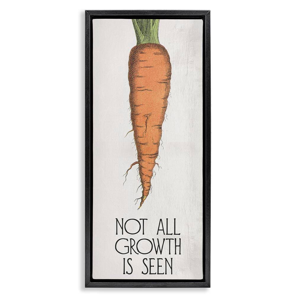 Carrot and Inspiring Growth by Daphne Polselli Black Floater Frame Food Graphic Art Print 25 in. x 11 in. price history on PriceWatchPro