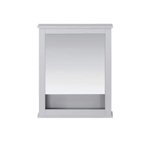 Sepal 24 in. W x 5 in. D x 30 in. H Rectangular Surface Mount Dove Gray Medicine Cabinet with Mirror
