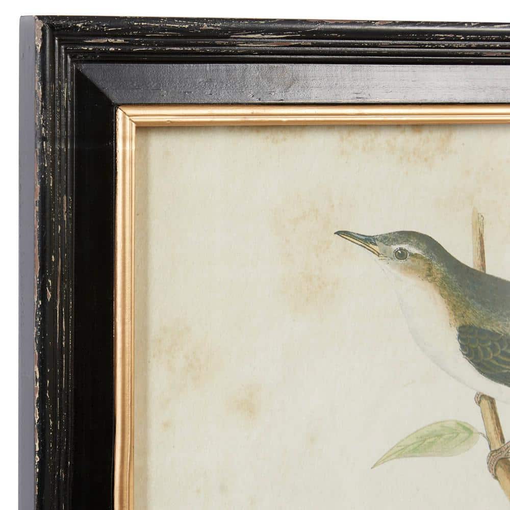 Black Framed Bird Print Wall Art Set, 20" x 14"