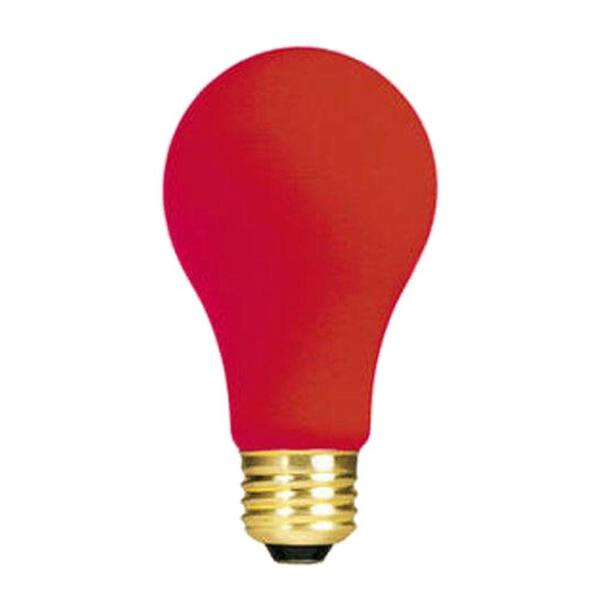 Bulbrite 40-Watt Incandescent A19 Light Bulb (25-Pack)
