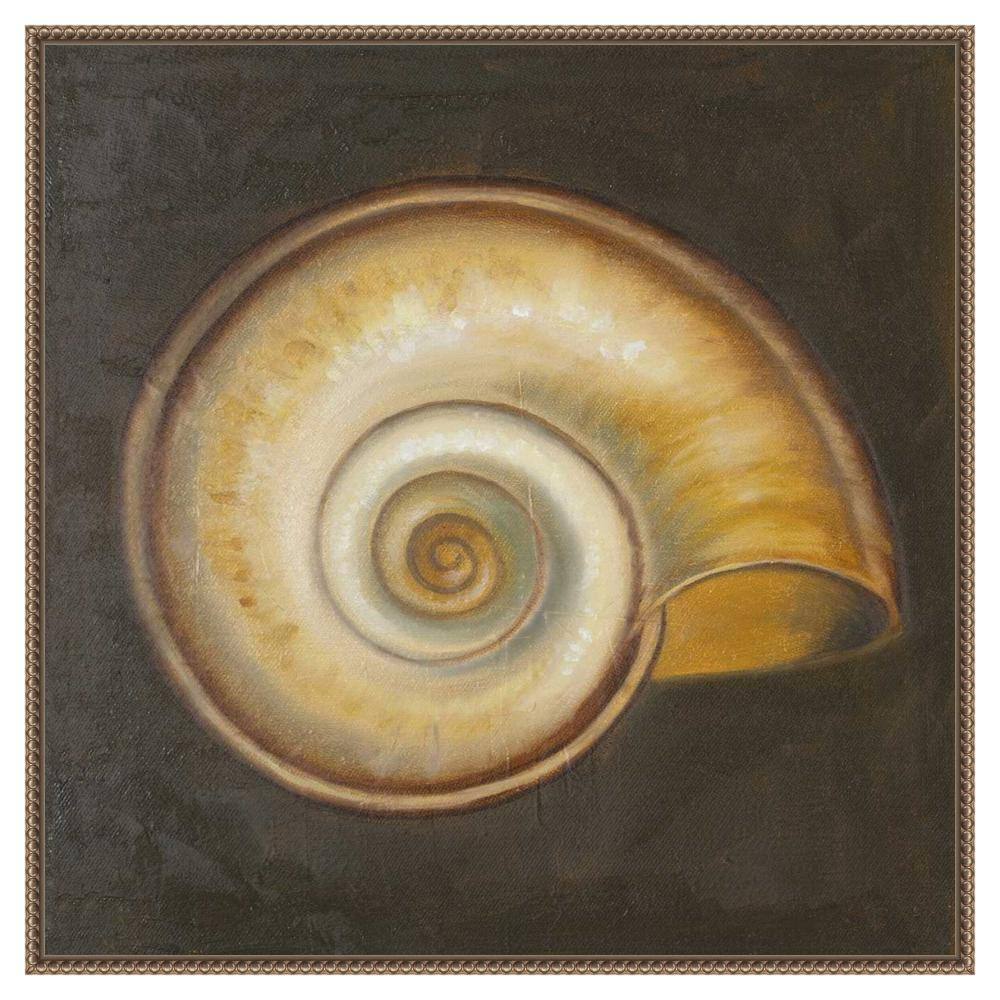30"x30" Seashell I by Patricia Pinto Framed Canvas Wall Art Print Bronze - Amanti Art: Hand-Stretched, Madison WI, Nautical Decor