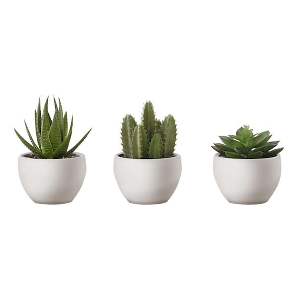 Racxily 6 in. Artificial Succulent Plants in White Pot (3-Pack