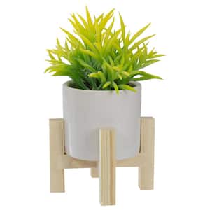 8 in. Potted Green Artificial Succulent with Wooden Stand