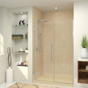 Elizabeth 52.5 in. W x 76 in. H Hinged Frameless Shower Door in Brushed Stainless with Clear Glass