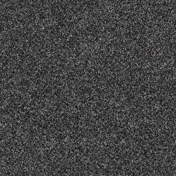 Home Decorators Collection 8 in. x 8 in. Twist Carpet Sample ...
