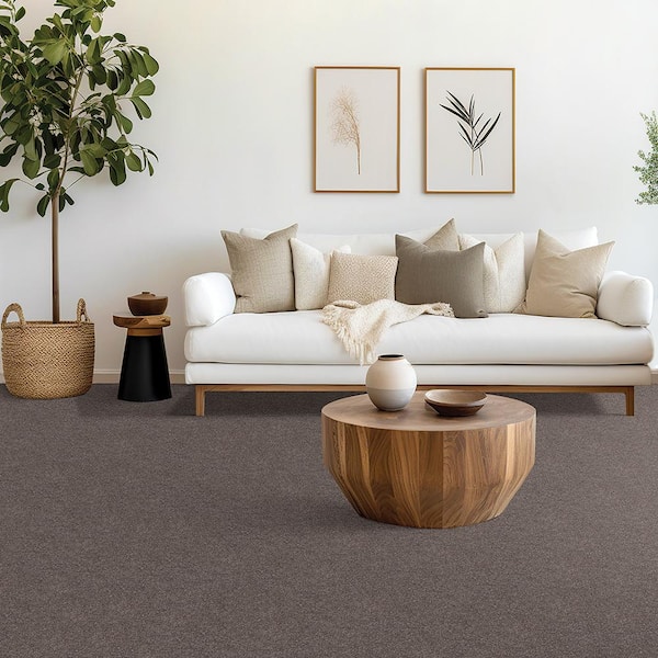 Waking Up II Stone Gray 56 oz. Triexta Textured Installed Carpet