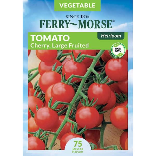 Ferry-Morse Tomato Red Cherry Large Fruited Heirloom Fruit Seed