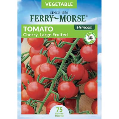 Large Fruited Red Cherry Tomato Heirloom Seed
