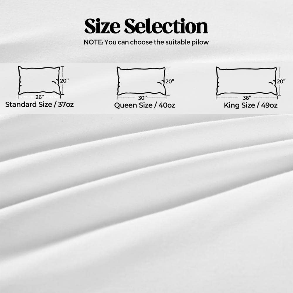Standard Size White Goose Feather Down Pillow Set with Cotton Cover