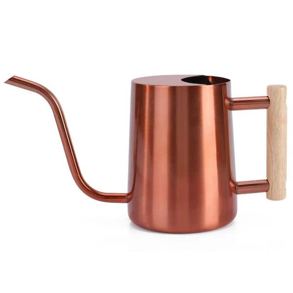 0.27 gal. Copper Stainless Steel Watering Can Indoor Decorative Long Spout Metal Watering Pot 1-Piece