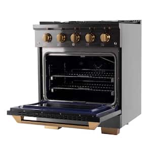 Gemstone Professional 30 in. 4.2 cu. ft. 4 Burners Propane Gas Range with Convection Oven in Titanium Stainless Steel