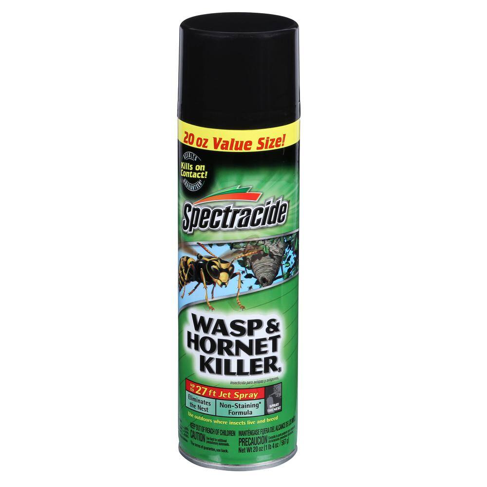 Buy Aerosol Wasp And Hornet Killer Spray (2-count) Online At Lowest 