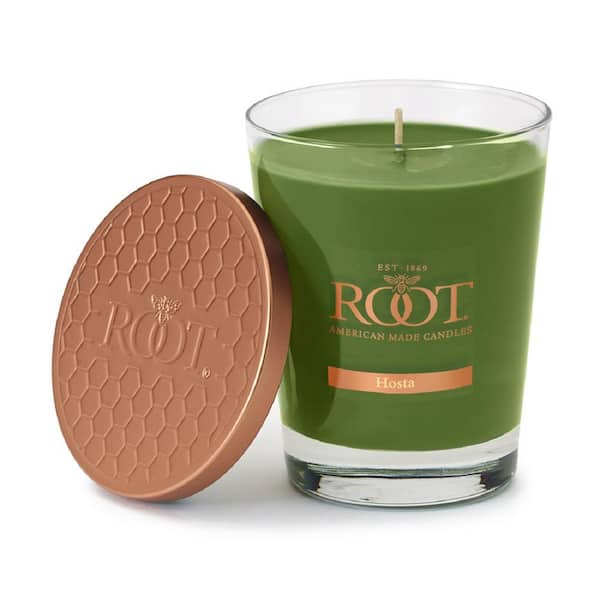 Root Candles Veriglass Hosta Scented Jar Candle in Dark Olive