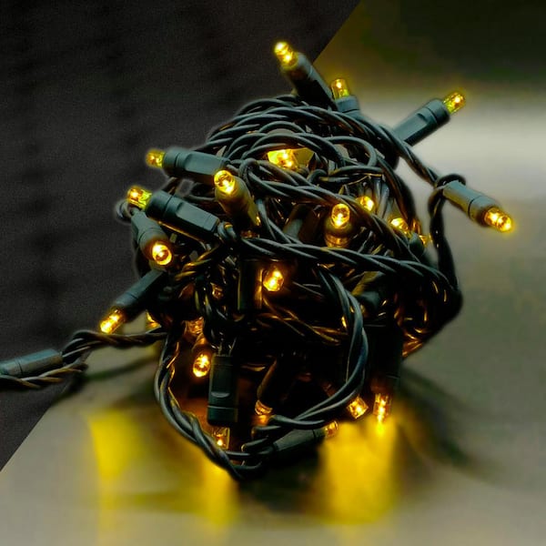 50-bulb Multicolor Mini Lights, 4 Spacing, Black Wire