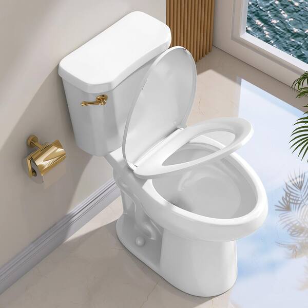 Zeafive Ace 12 in. Rough in 2-Piece 19 in. Tall Toilet 1.28 GPF