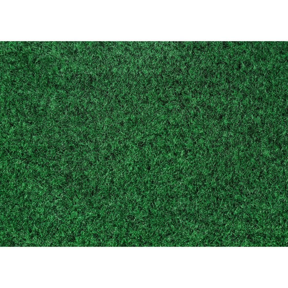 Soft Green 6' x 9' Washable Synthetic Area Rug