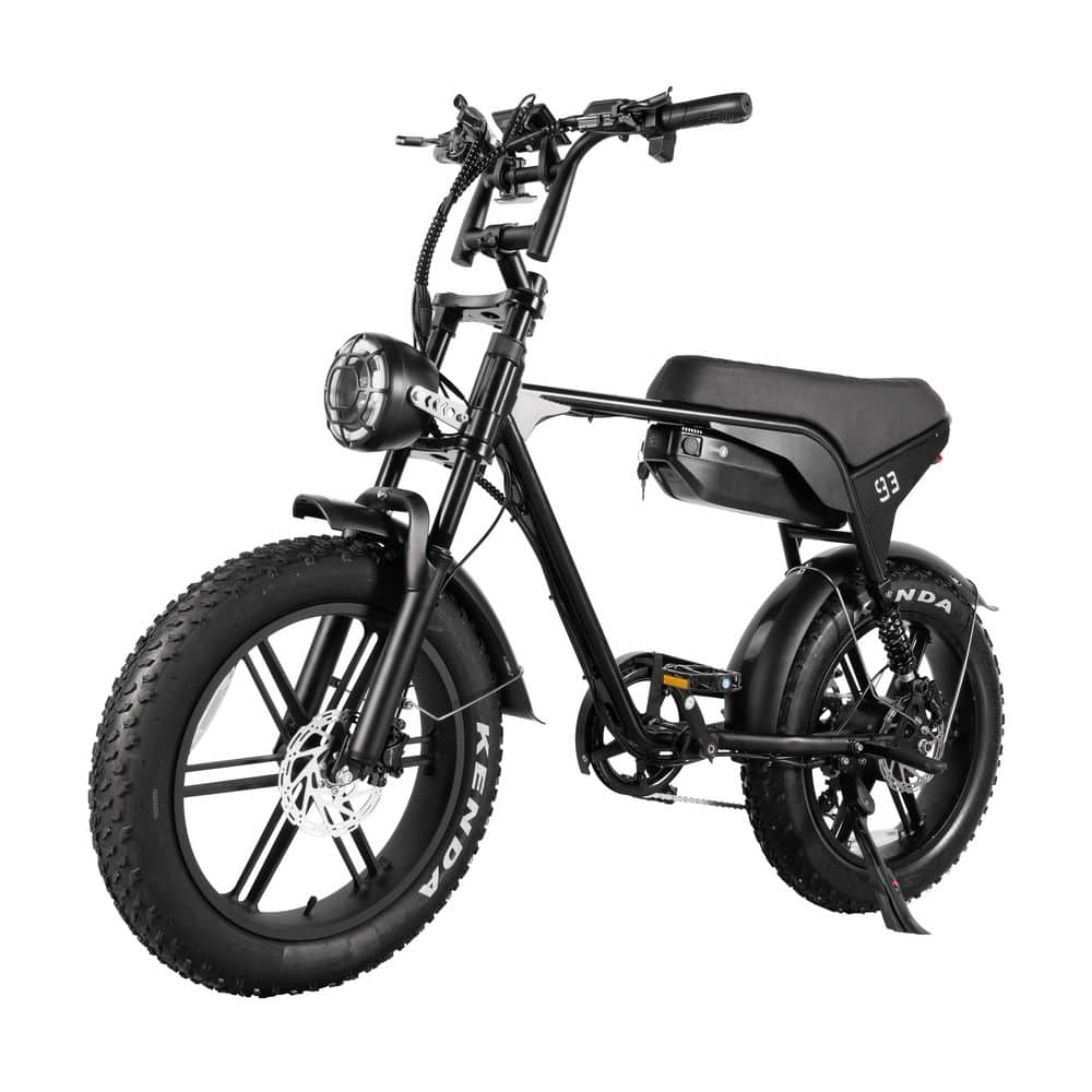 20 in. Black Fat Tire Electric Bike for Adults Full Suspension Hydraulic Brakes price history on PriceWatchPro