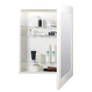 24-1/2 in. W x 30-1/2 in. H Framed White Recessed/Surface Mount Medicine Cabinet with Mirror