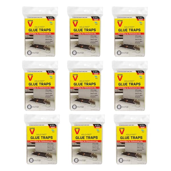 Victor Hold-Fast Disposable Mouse and Insect Glue Board Traps (36-Count)
