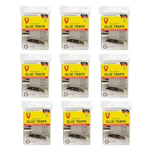 Victor Hold-Fast Disposable Mouse and Insect Glue Board Traps (10-Pack)  M1810 - The Home Depot