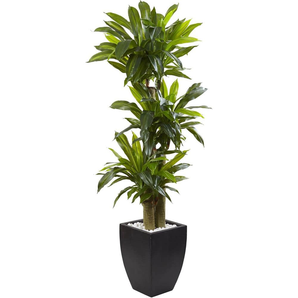 25 in. Artificial Green Indoor/Outdoor Dracaena Plant, Faux Decorative Accent, Compact Stylish Green Display price history on PriceWatchPro