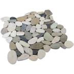 Mixed 12 in. x 12 in. Sliced Pebble Stone Floor and Wall Tile (5.0 sq. ft./Case)