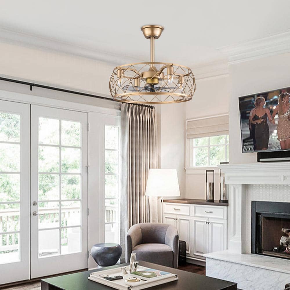 20" Gold Aluminum Caged Ceiling Fan with LED Light and Remote