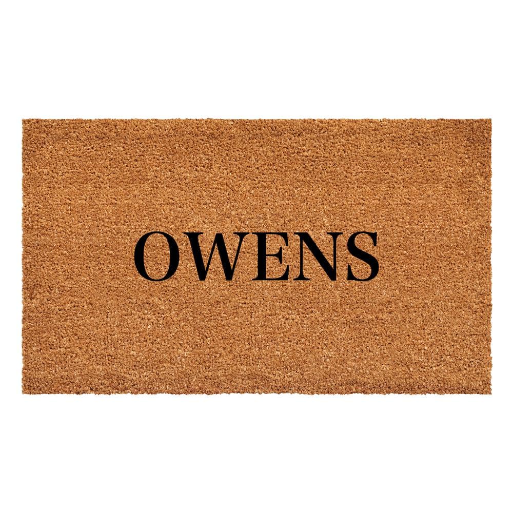 Bold Owens Multi-Colored 24 in. x 48 in. Indoor or Outdoor Doormat price history on PriceWatchPro
