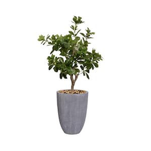Vintage Home Artificial Faux Tung Tree 43'' High Fake Plant Real Touch with Eco Planter