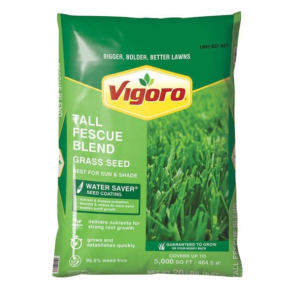 20 lbs. Tall Fescue Grass Seed Blend with Water Saver Seed Coating