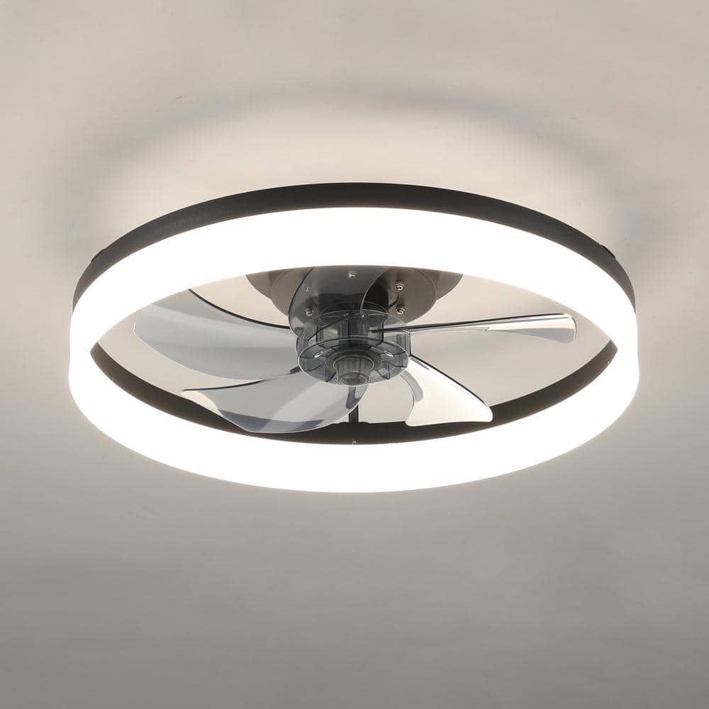 20 in. LED Indoor Black Smart Ceiling Fan with Light and Remote, Flush Moun