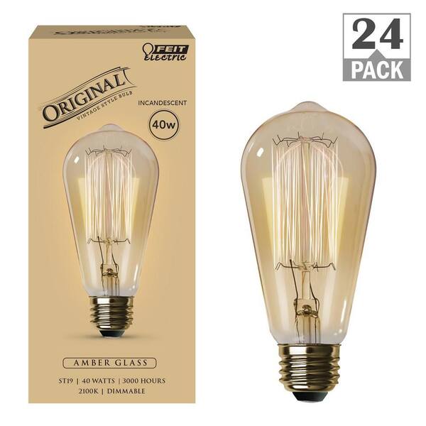 40-Watt ST19 Dimmable Cage Filament Amber Glass E26 Vintage Edison Incandescent Light Bulb, Warm White (24-Pack)
