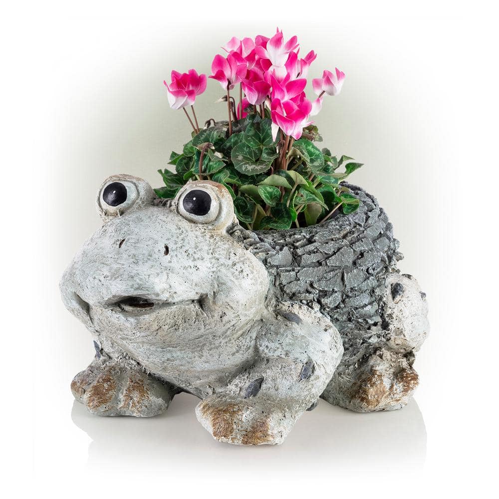 Frog Fan Favorites: 5 Affordable Gifts Every Frog Lover Will Adore