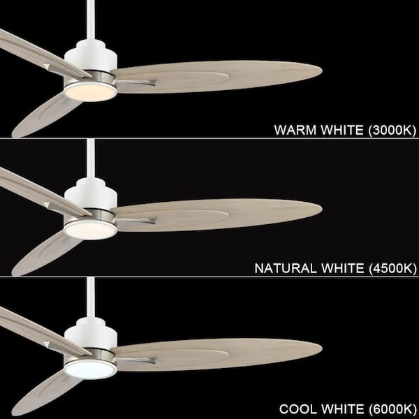 Costco Ceiling Fans With Remote Shelly Lighting