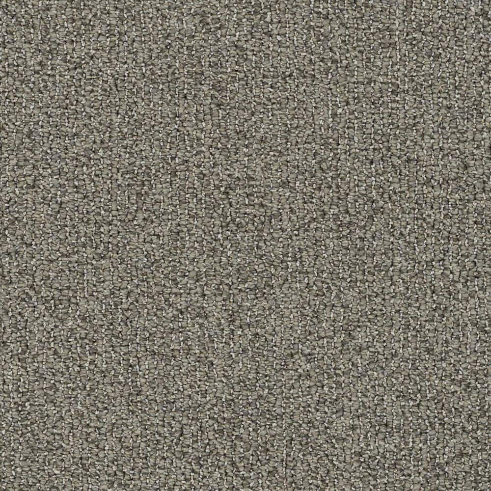 8 in. x 8 in. Loop Carpet Sample - Symphony Walk - Color Unity price history on PriceWatchPro