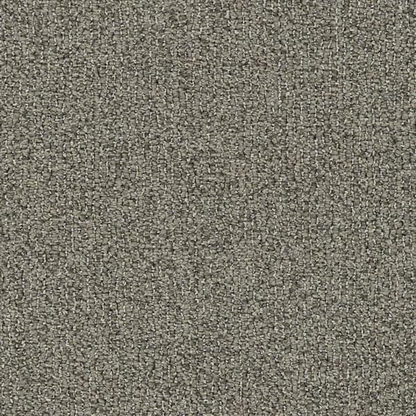 8 in. x 8 in. Loop Carpet Sample - Symphony Walk - Color Unity