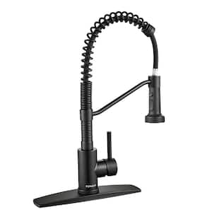 Pull Down Sprayer with Kitchen Faucet Single-Handle Kitchen Sink Faucet in Black