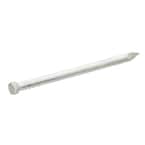 #18 x 5/8 in. Stainless Wire Brads (1 oz.)