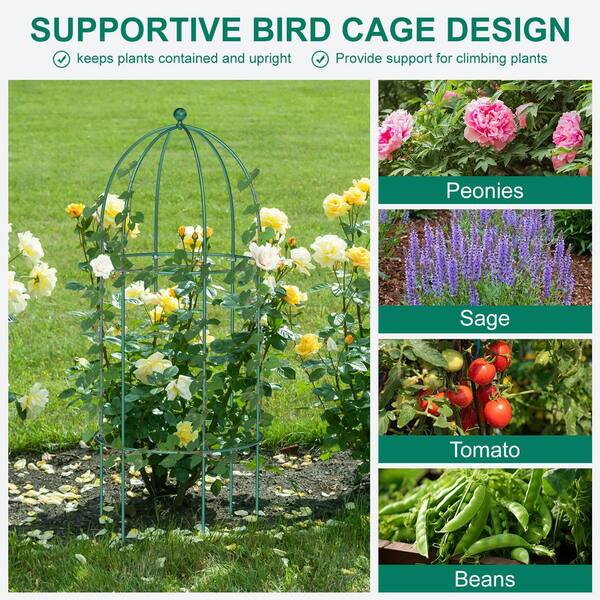 Rheen Plant Clips For Climbing Plants - 100pcs Transparent Plastic Plant Clips Large Garden Vine Clips Tomato Support Plant Tying Climbing 1 100 Pcs